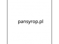 Pansyrop.pl - produkty dla gastronomii	