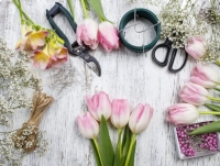 Kwiaciarnia online - bukiety z kwiatów.