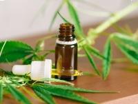 Popularny olej konopny | KonopnySklep.com.pl