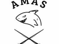 Amas-fishing.pl - wędkarstwo spinningowe, feederowe, spławikowe