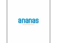 Ananaskids.pl - ubrania dla chłopca i dziewczynki 	