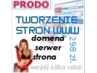 Wykonanie strony internetowej www Poznań super cena 298 zł. (brutto) 
