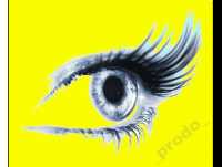 Wordpress pomoc wsparcie Poznań