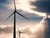 Wydzierżawię działki pod fotowoltaikę / wiatraki