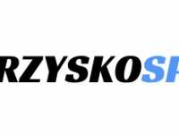 Pozbądź się niechcianej spółki - www.cmentarzyskospolek.pl