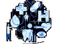 Stomatologia w Bolesławcu, Dentysta, Stomatolog