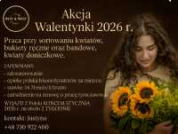  Praca przy kwiatach – Wyjazd na ok. 2 tygodnie! 