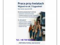 Praca w Holandii - AKCJA WALENTYNKI 