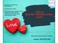 Praca przy kwiatach w HOLANDII Wyjazd na ok. 2 tygodnie! Cena: Brak