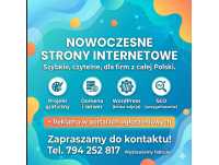 Nowoczesne strony WWW + promocja firmy w portalach ogłoszeniowych