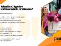 Praca przy kwiatach – Wyjazd na ok. 2 tygodnie!